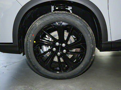 2025�� ���ն��� 1.5T �����