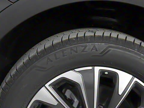 2025�� 25T �׽��