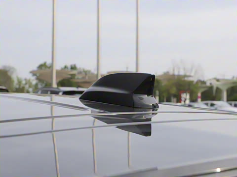 2025�� 25T �׽��