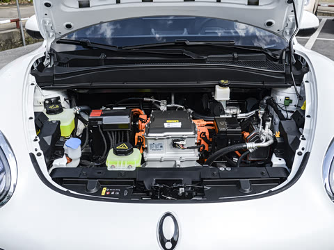 2025�� ľ���� 430km ������