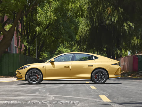 2024�� Max ��������