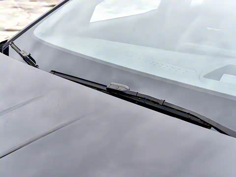 2025�� 605 Max������