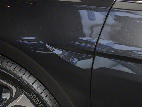 2025�� 300TSI DSG���а�