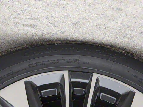 2025�� 390T ���������