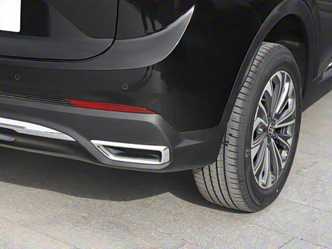 2025�� 25T �׽��