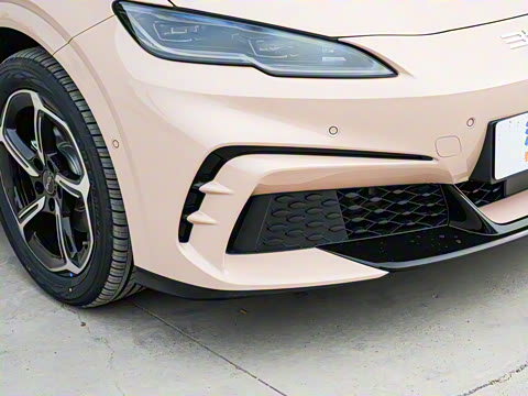 2025�� �Ǽݰ� 605���˰�