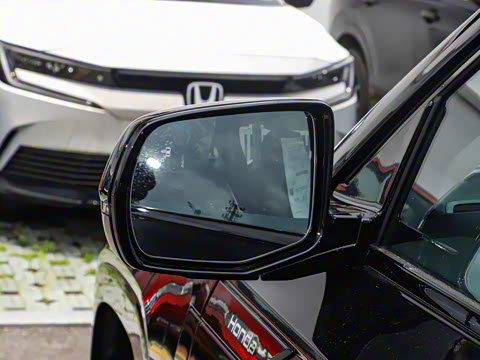 2025�� ����������Pro