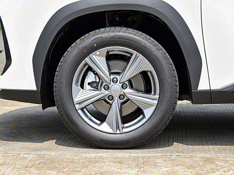 2025�� ���Ĵ� 1.5TD DCT �﷫