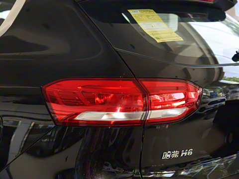 2021�� 1.5T �Զ��ھ���