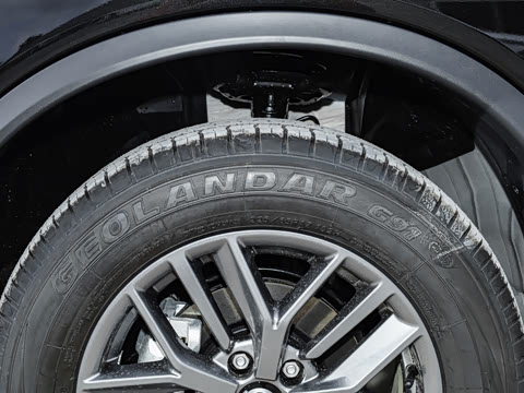 2025�� ���� 2.0L �������İ�