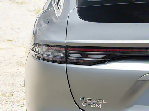 2025�� 260������������