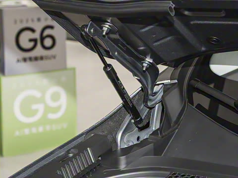 2025�� 725 �������� Max �콢��