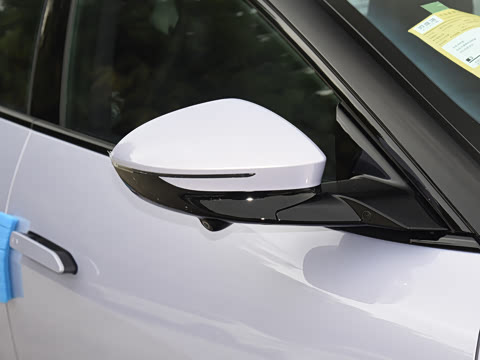 2025�� Max�����