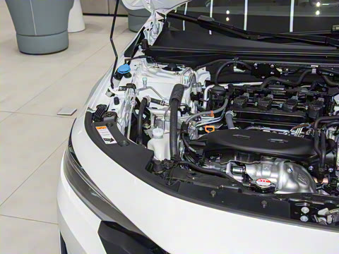 2025�� 240TURBO CVT�Ƽ���