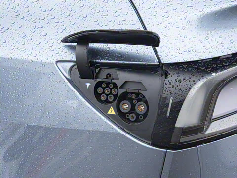 2025�� ����������