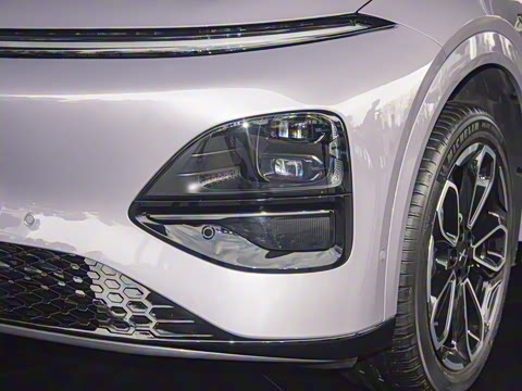 2025�� 725 �������� Max �콢��