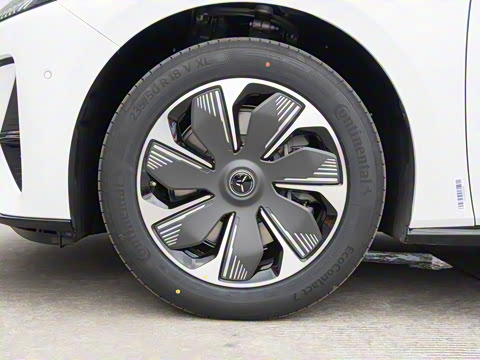 2025�� 550��ѡ��