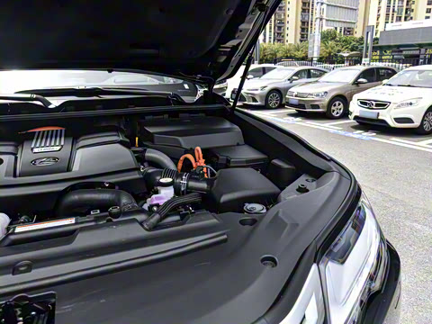 2025�� 700h VIP������