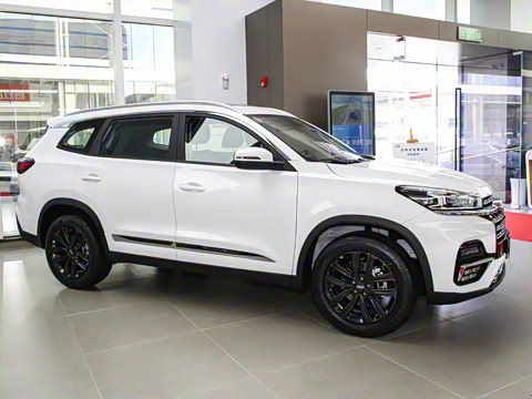 2024�� 230TCI �Զ��³��� 5��