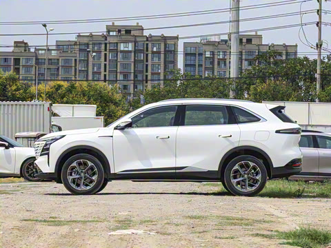 2025�� ���Ĵ� 1.5T ������ �ǻ�׿Խ��