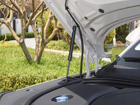 2025�� 135 �����ܼ����״��