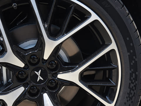 2025�� �������� Max �콢��