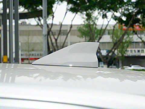 2025�� 290TGDI DCT�˷�� 