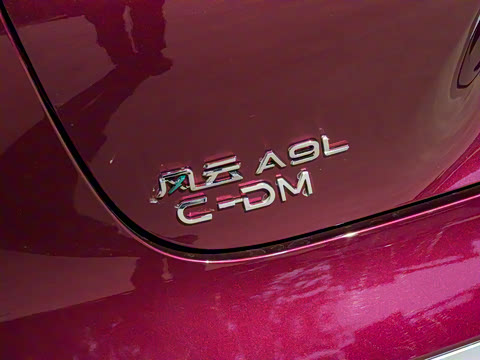 2025�� 260����������