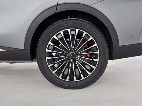 2025�� 200��������Pro����