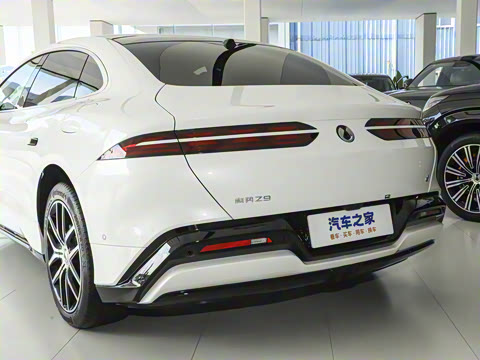 2024�� 1100km ����Pro��