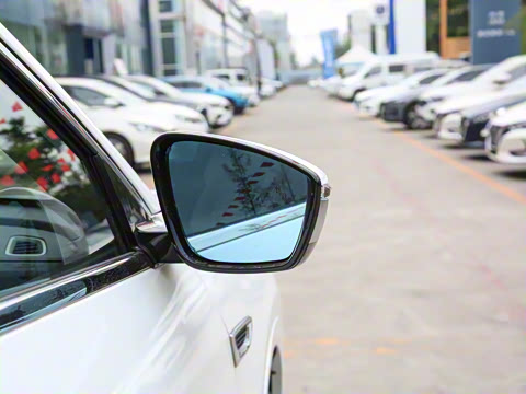 2021�� 1.6T DCT��PRO+ 7��