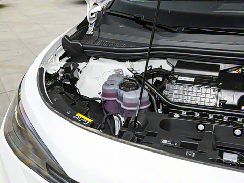 2025�� �Ŀ� ������ ����������