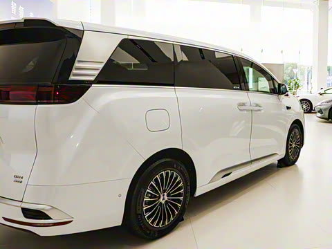 2025�� DM-i �Ǽݰ� 1100 ������