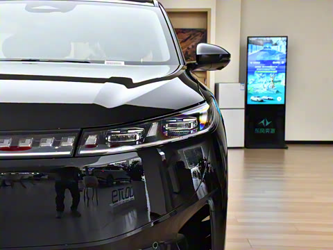 2025�� 636Max���Ȱ� 6��