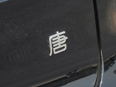 2025�� DM-i 175KM �캽��