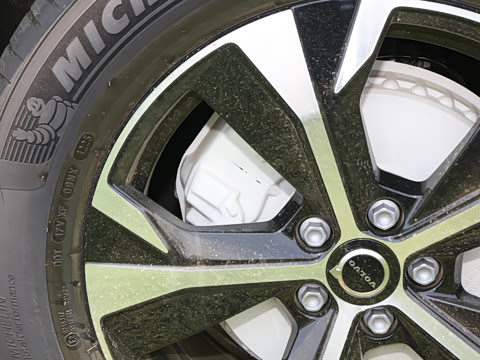 2026�� B5 �������ݺ�����