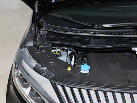 2025�� ������ɽ9