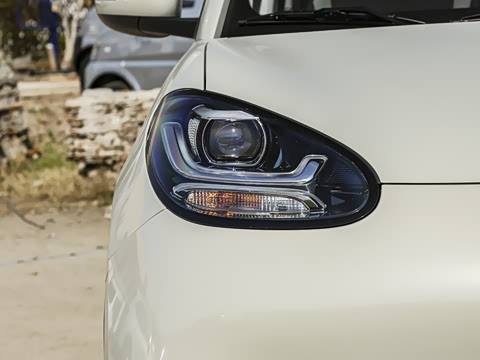 2025�� 203km ������