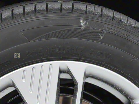 2025�� 565km ������