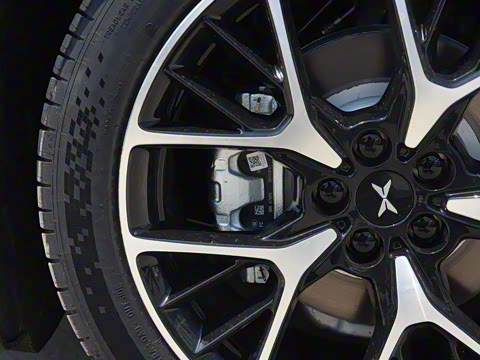 2025�� �������� Max �콢��