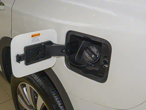 2019�� 30T ������Ⱥ�콢��