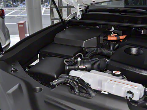 2025�� 700h VIP������