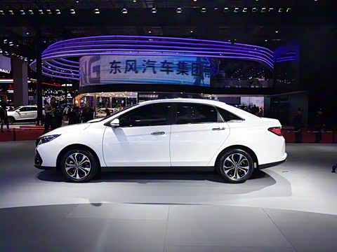 2019�� ������������