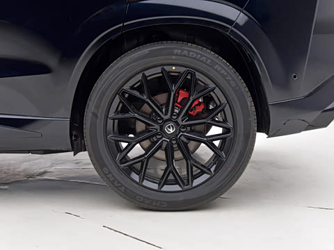 2025�� �ǻ������� 125km ������