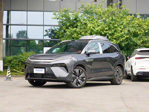 2025�� DM 175KM���˻���Ұ�