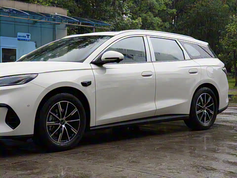 2025�� DM-i 80KM�����