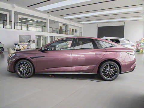 2025�� �Ǽݰ� DM-i 1.5L 125km ������