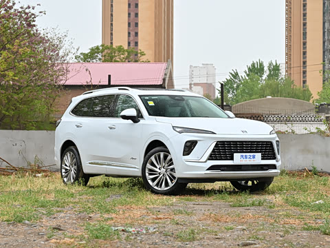 2025�� ������Plus ����Avenir��ά��