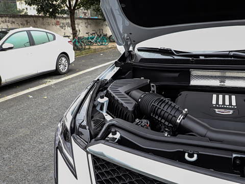 2021�� 28T ���������˶���