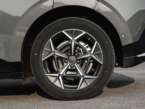 2025�� 530km ����Max